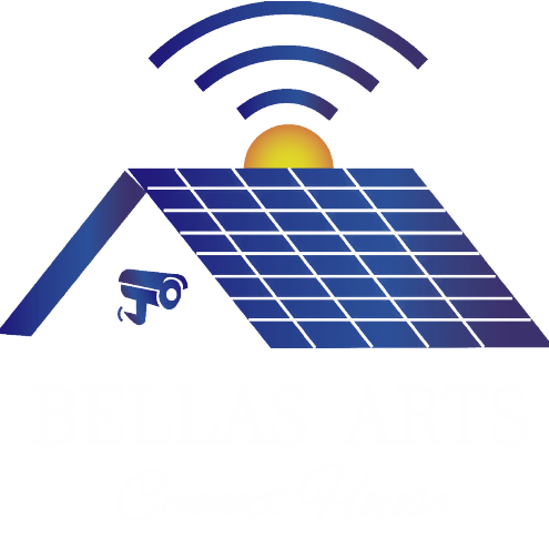 Bellas Arts Connect